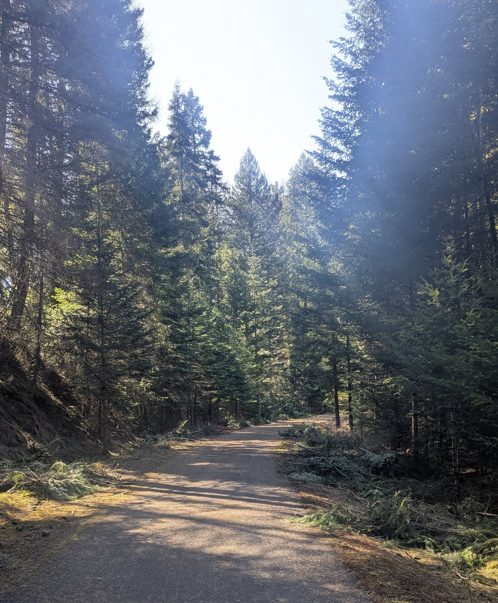 Latah Trail Spring Cleaning on Saturday, April 26th
Meet us at Troy City Park at 9:30 a.m. if you're available to lend a hand!
We will be sweeping and removing the piles of branches between Troy City Park and the summit.
We'll provide plenty of snacks and water, but you should bring work gloves and a water bottle. Please bring a push broom if you have one.
Contact info@latahtrail.org with questions.