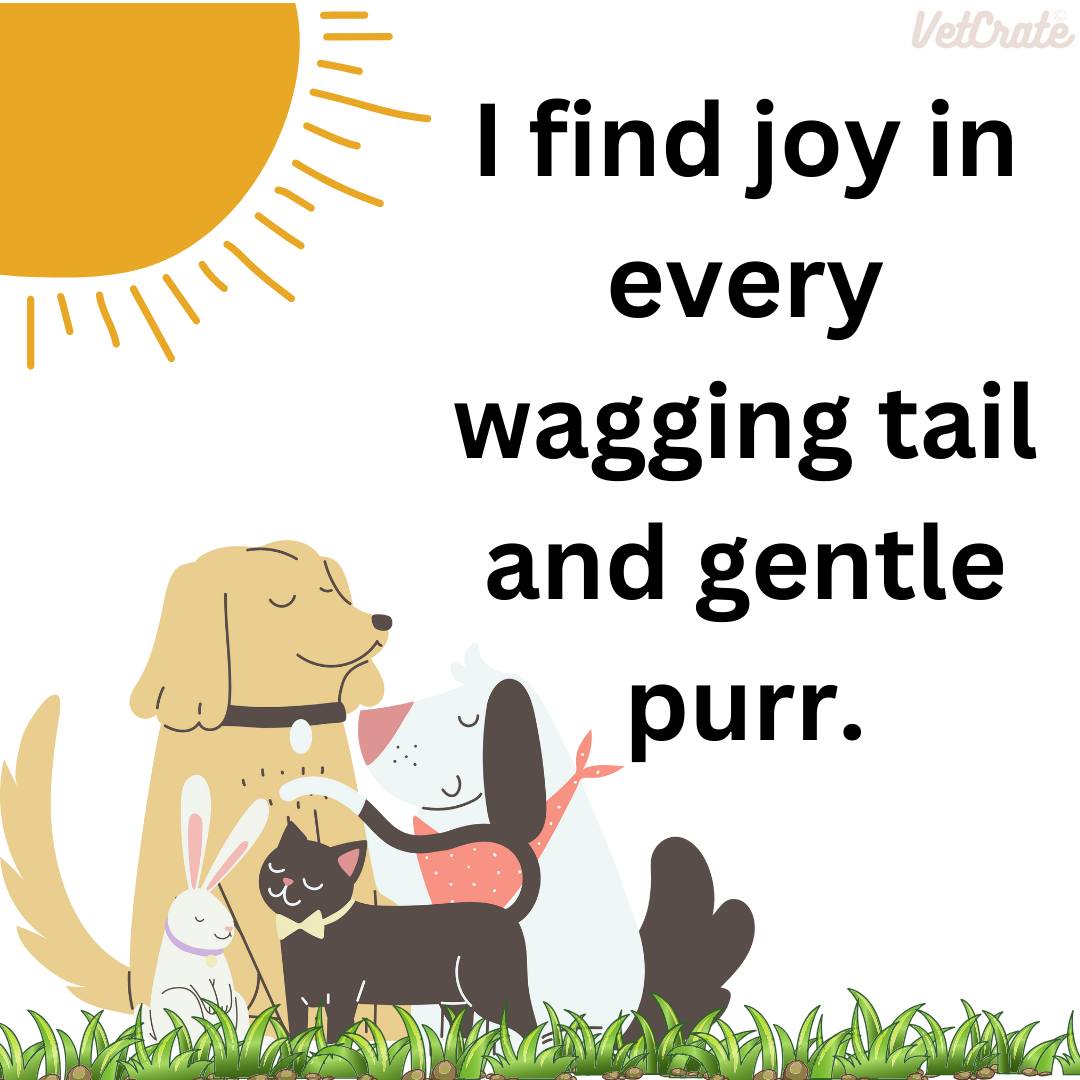 #veterinaryprofessionals #petcareprofessionals #petcarebusiness #petcareprovider #vetnurse #vettechsofinstagram #vetmedicine #vetmedworld #veterinarian