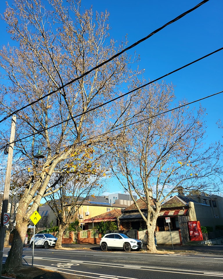 Sunshine hiding behind that fog 🌫️🌫️🌫️
Chilly but perfect bike weather!