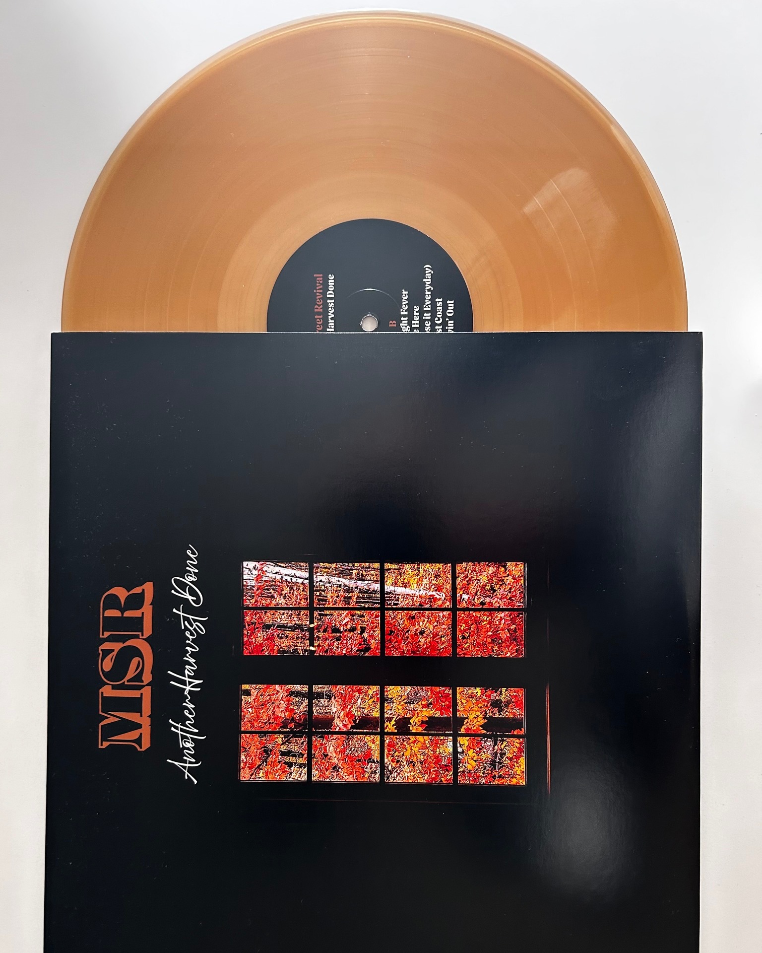 Do you like vinyl? Our new album 'Another Harvest Done' is available in Ottawa at @therecordcentre on Wellington St. and @compact.music on Bank Street.
If you don't live in town, get it shipped from The Record Centre's the online store: https://therecordcentre.com
Give it a spin! #vinyl #ottmusic #recordstore #recordcollector