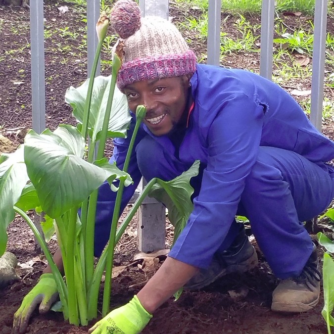 We have three essential workshops coming up - the first is our fabulous Practical Gardener Training on Friday, 24 May. I have moved it to a week before the elections. This truly is a gift of knowledge to not just beginner gardeners but those at all levels.
Then our next Essential Steps to Growing your own Produce takes place on Saturday, 18 May. It's too late to grow from seed now, but it certainly isn't too late to plant seedlings, especially given this heat! In this workshop we will chat about soil health and preparations, crop selection, planting spaces, care of your vegetables and a lot of alternative and popular permaculture methods.
And then diarise 1 June when I host another workshop on Designing & Planting your garden. This workshop is invaluable to give you all the guidance you need to design your own garden - or parts thereof - what plants to choose, optimal growing conditions, use of colour, texture, form . . . and more. This workshop will get your creative juices flowing! I will post reminders, but, in the meantime, please diarise these dates and email or WhatsApp the office if you want more information.
Email : info@schoolofgardendesign.com WhatsApp Lindsay on 0824499237