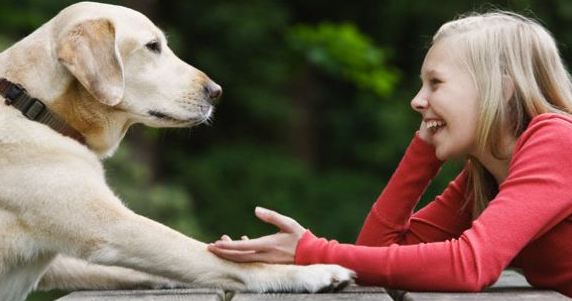 🐾 Did you know we all “hear” animals differently?
Some people receive messages as images in their mind. Others pick up on emotions, body sensations, words, or sudden insights that just seem to pop in. These are your natural communication channels—and knowing how YOU receive messages makes all the difference when it comes to understanding animals clearly and confidently.
When you recognize your unique style, everything clicks!
In our Animal Communication class, you’ll discover how animals are already connecting with you—and how to tune in with more clarity, trust, and ease.
Class begins June 4th and registration is now open!
Learn more & sign up here: https://www.dianagogan.com/animal-communication-class
#AnimalCommunication #DianaGoganCoaching #ConnectWithAnimals #TalkToAnimals #IntuitiveLiving #SoulConnection