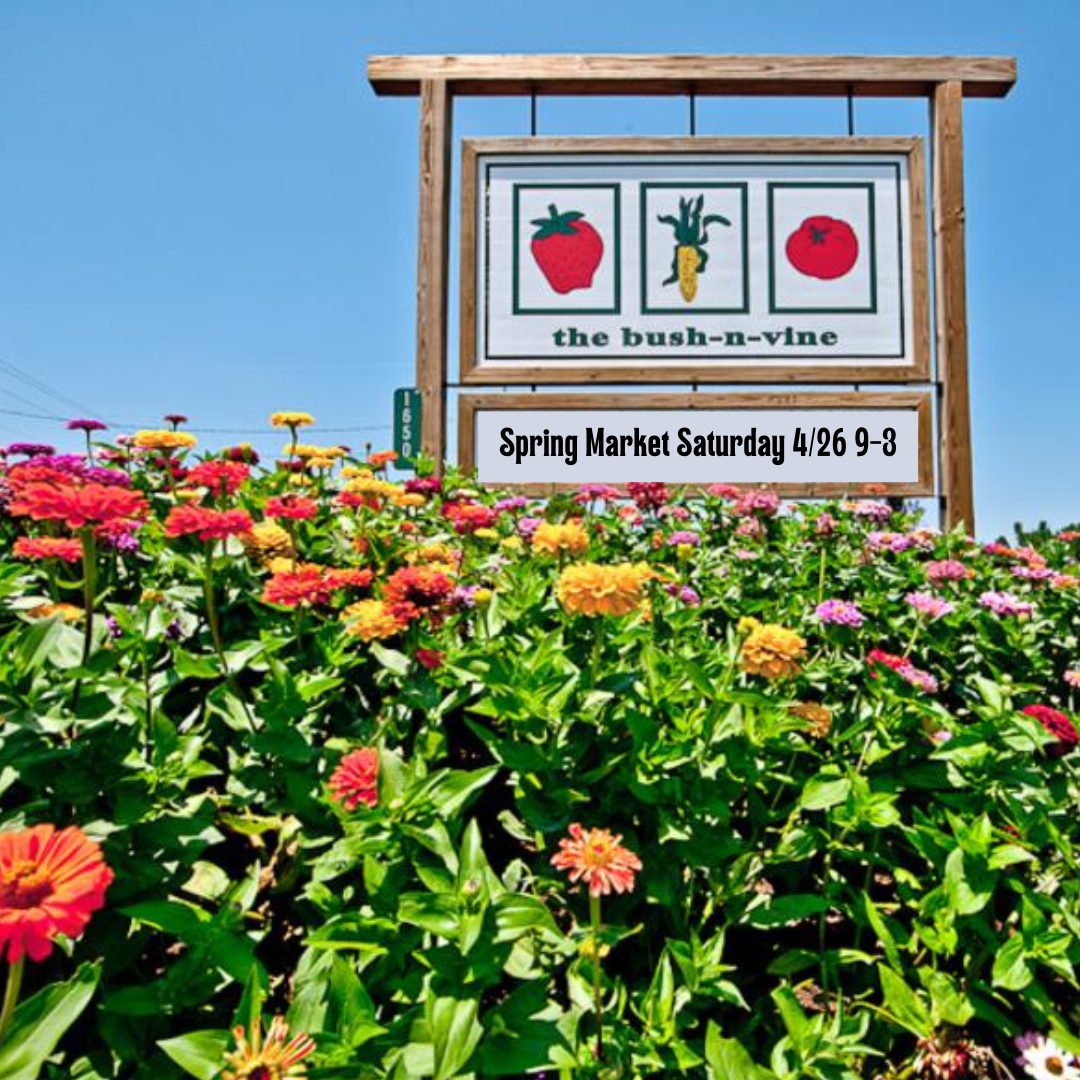 Come see us at the Bush-N-Vine Farm Spring Market!
We will have all of your favorites as well as our NEW Gluten-Free Sweet Bread Mix.