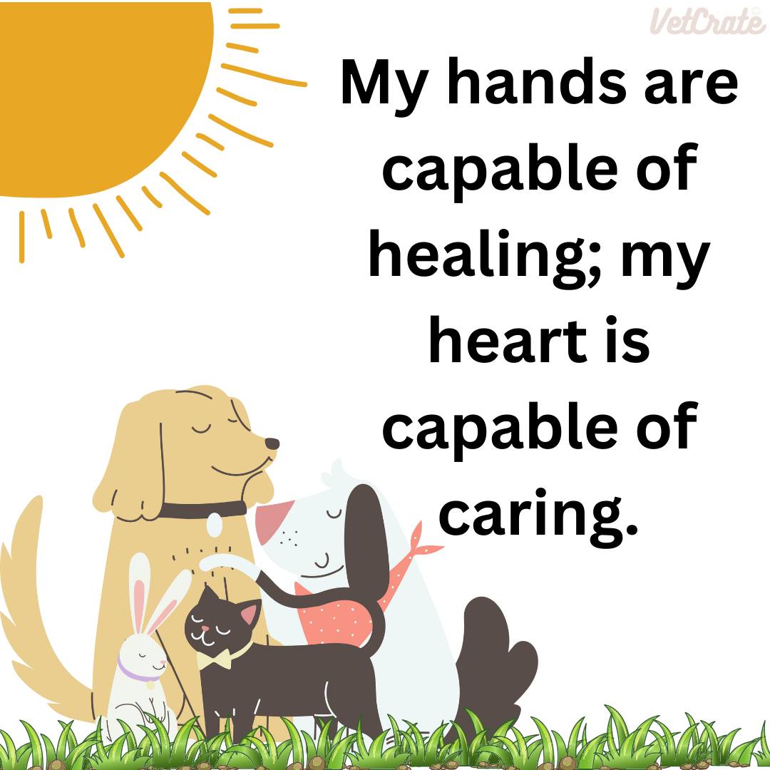 🐾💛 A Reminder for All Vet Med Professionals:
You are doing incredible work—even on the days it doesn’t feel like it.
In a world full of stress, compassion fatigue, and chaos, you deserve a space that fills your cup—not drains it.
That’s why we created Pawsitive Veterinary Mindset ✨
A Facebook group where you’ll find:
✔️ Daily affirmations
✔️ Encouragement from peers
✔️ A break from the negativity
✔️ A reminder that you matter too
🩺 If you work in veterinary medicine and need a little light in your day, this group is for you.
🌟 Join us here → Pawsitive Veterinary Mindset
#VetMedSupport #PawsitiveMindset #VeterinaryEncouragement #YouMatterInVetMed #VetTechLife #VeterinaryAffirmations