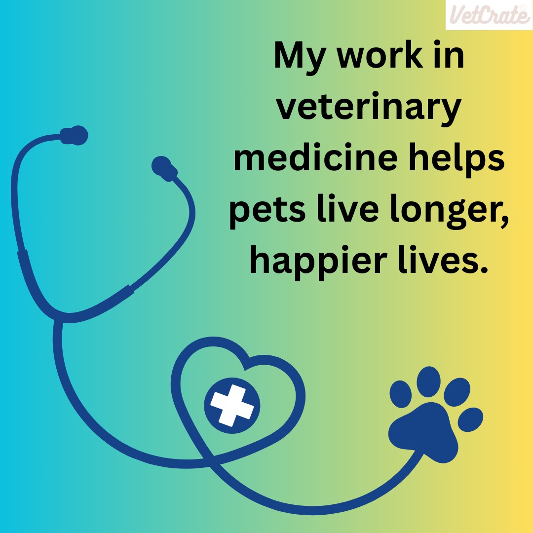 My Work in Veterinary Medicine Helps Pets Live Longer, Happier Lives ❤🐾💙