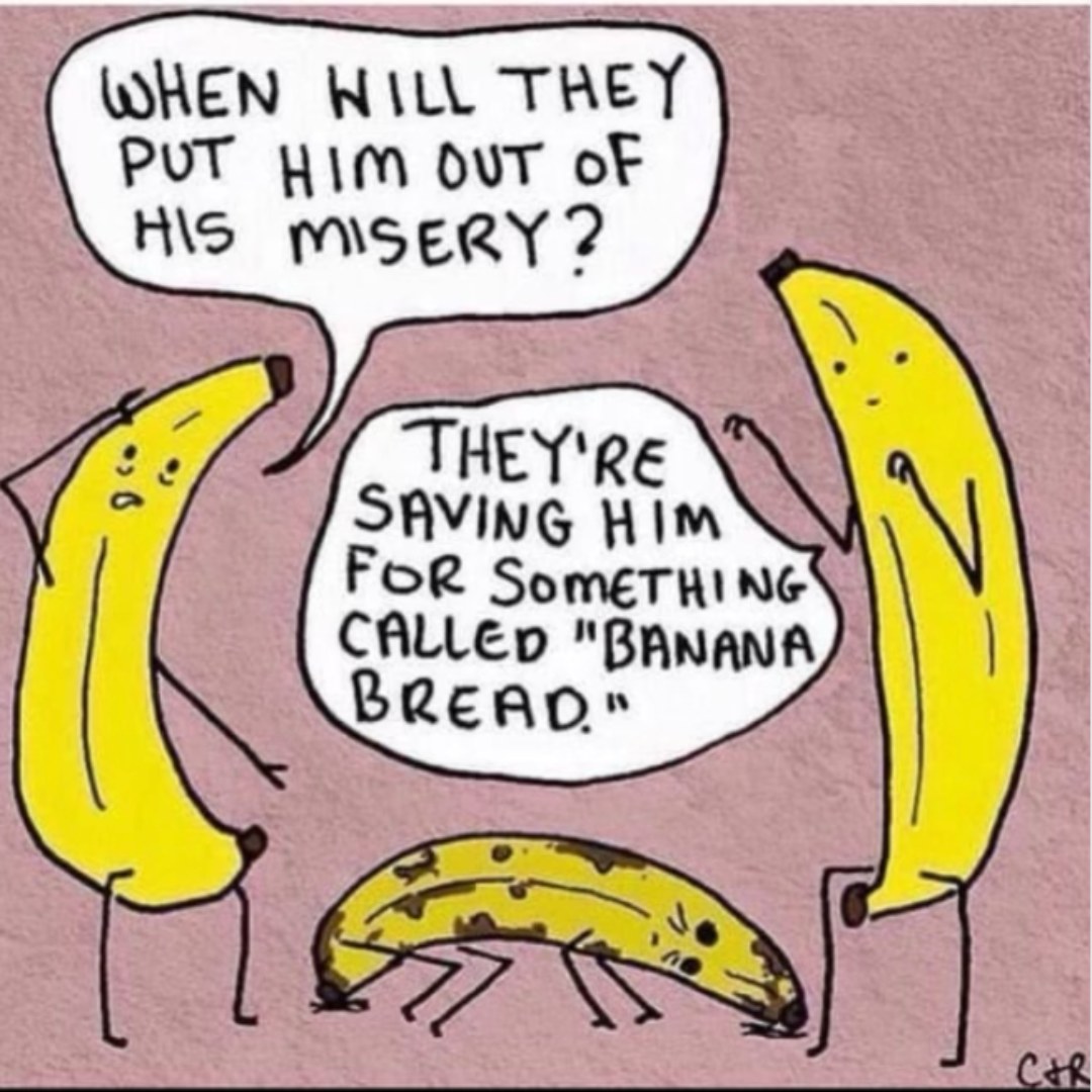 🍌 When life gives you overripe bananas... make gluten-free banana bread!
Just add your sad bananas to our Sweet Bread Mix and boom—delicious, allergy-friendly magic.
✨ Gluten-free • Nut-free • Dairy-free options
📦 Order now at www.nogluteninit.com
#glutenfree #glutenfreebaking #nogluteninit