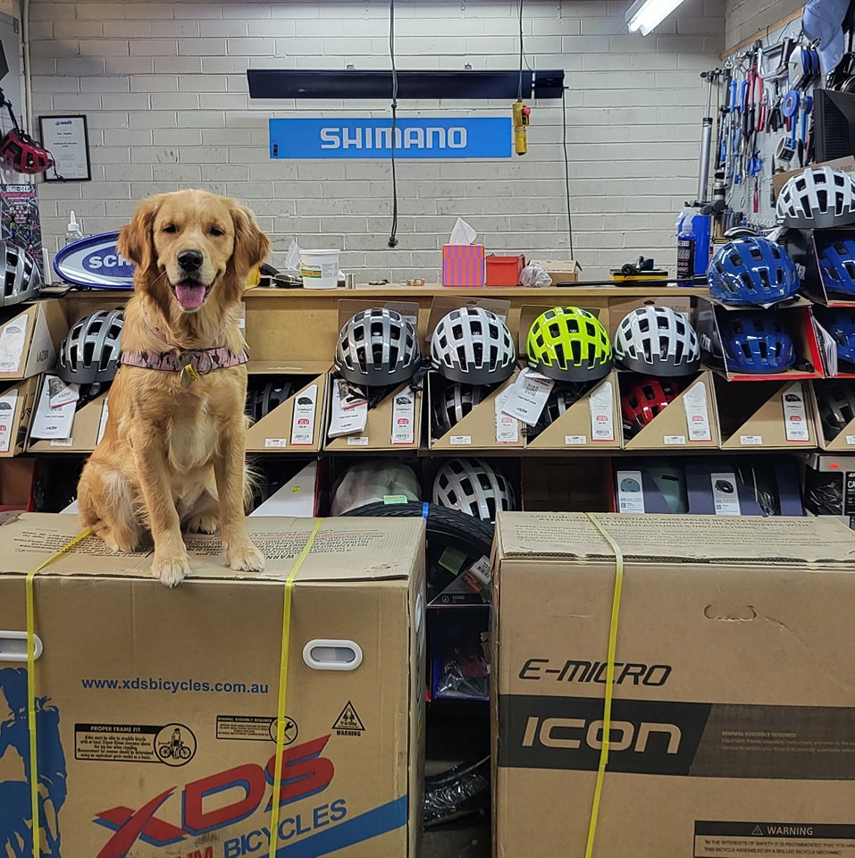 Xds and Icon folding ebikes are back in stock in time for the weather.
Starting from $1750
That is once the QC department in finished with them