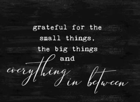 As we start the new year let us be Gratefulโฆ.
And say thank you to everyone who supported our small business in 2024!
#weddings
#flowers
#bride
#ido
#blooms
#barnwedding