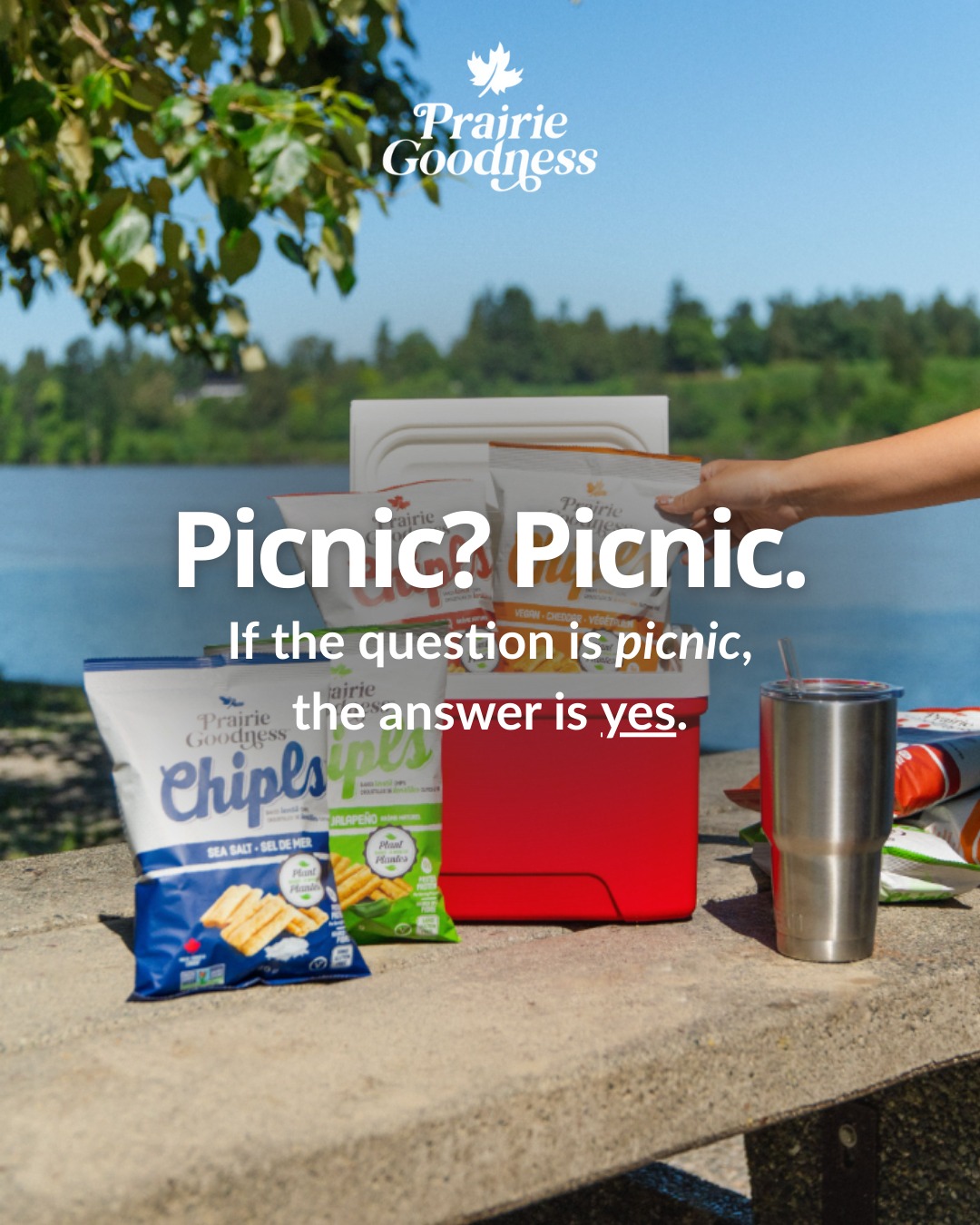 The Vancouver weather is warming up and the sun is peeking out more, which means we're heading out on more picnic (and of course they're fuelled by Chipls)! What else is in your picnic basket? 🧺☀️
#HealthyPicnic #SnackWithLove #ChickpeaSnacks #VeganOnTheGo #GlutenFreeSnacks #CanadianMade #EatLocalBC #SmartSnacking #PicnicVibes
