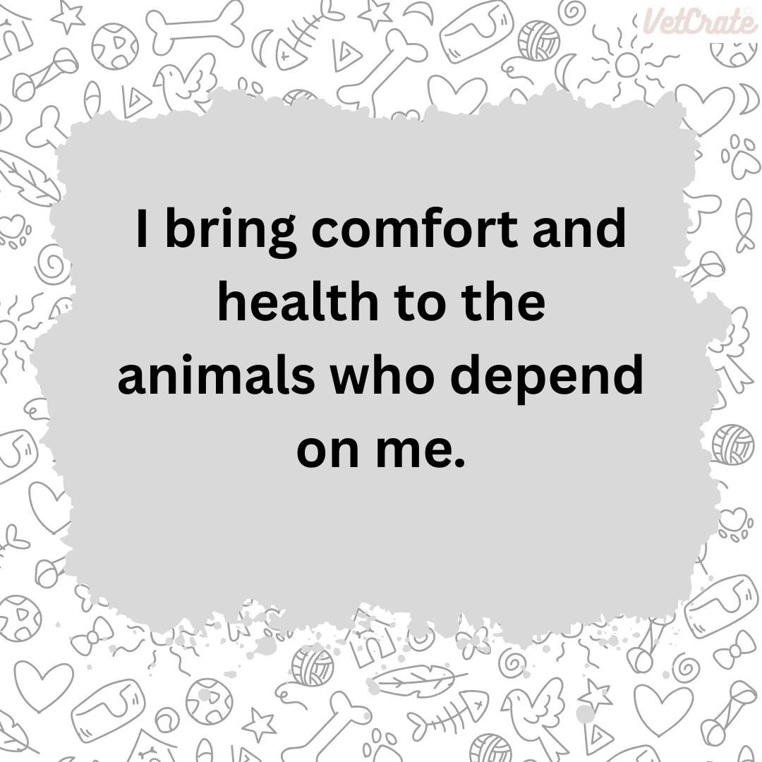 Our Mission is to create a supportive and encouraging space where veterinary professionals can find comfort, motivation, and affirmation. Whether you're a vet, vet tech, nurse, or support staff member, this group is for you!