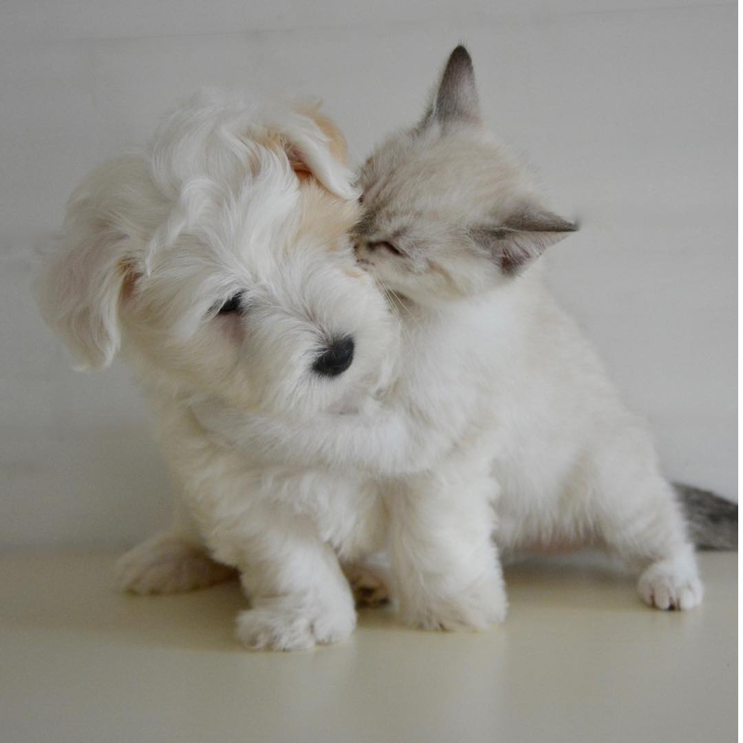 Before you pucker up—make sure your partner’s gluten-free too! A quick drink can keep that kiss safe.
https://www.healthday.com/health-news/digestive-system/can-kissing-pass-gluten-new-findings-for-celiac-patients