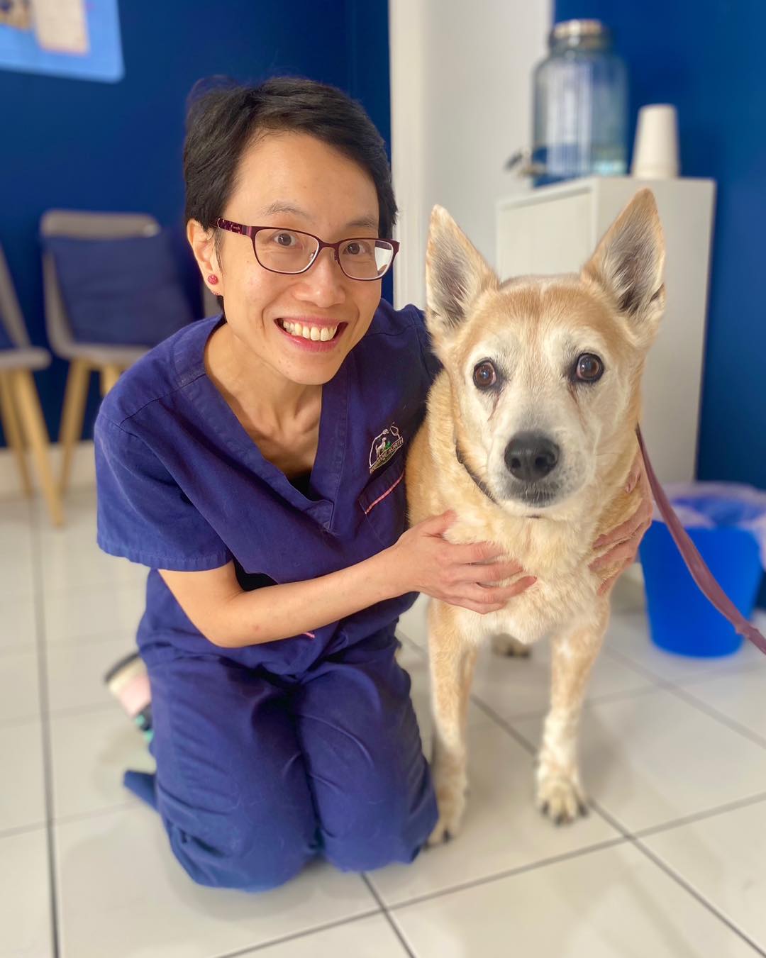 ๐พ Lump Checks Save Lives! ๐ฉบ
Noticed a new bump or lump on your pet? Donโt waitโget it checkedโ๏ธ
Hereโs Fai ๐ถ. He had a slow growing lump on his belly for a few months. After our check up, it turned out the lump is a type of potentially aggressive skin tumourโผ๏ธ Fai had his surgery done at our Boondall clinic he has recovered very well after his operation! ๐๐ป๐ฏ
While many lumps are harmless, some can be serious. The earlier we catch issues like tumors or infections, the better the outcome for your furry friend. A quick exam could make all the difference. ๐๐ป
๐
Book a check-up today and give your pet the care they deserve! Call us on ๐1300 308 309 or book online ๐๐ป https://www.bnmv.com.au/book-online
#PetHealth #VetTips #LumpCheck #EarlyDetection #HealthyPetsHappyPets