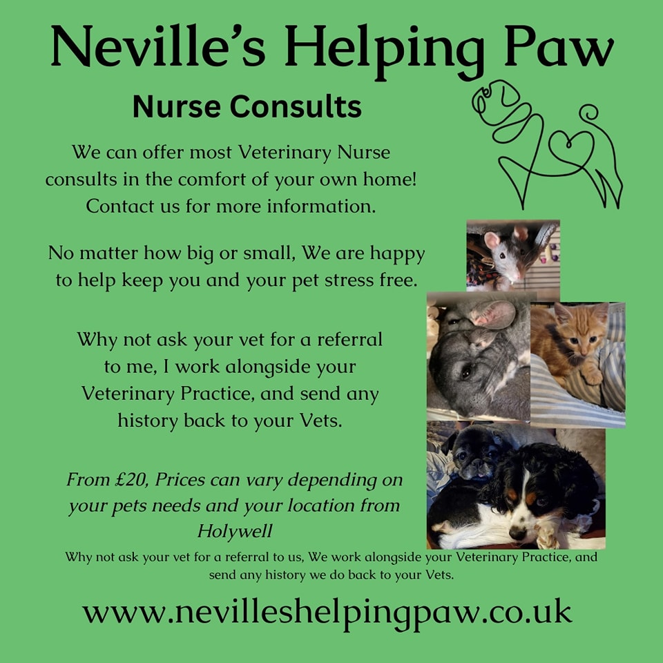 Nurse Consultations in your home!! No stressful veterinary practice visits, I come to you and support you and your pet 🥰
#RVN #districtregisteredveterinarynurse #dvnhub #veterinarynurse #VetNurseLife