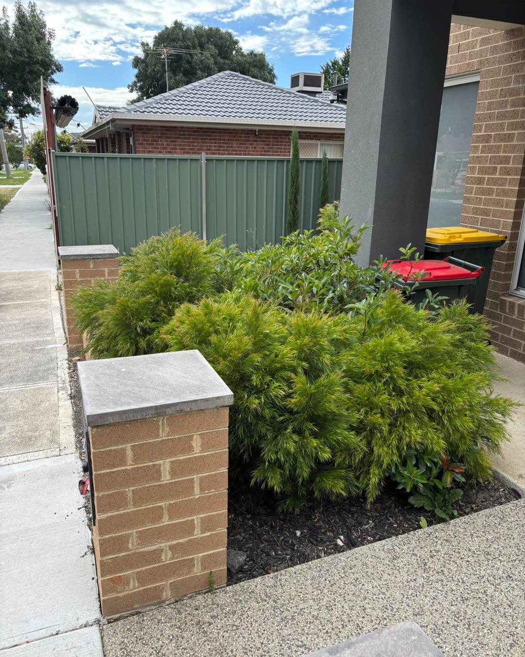 Under control and ready to grow #melbourne #lawns #mowing #gardening #MowingService #lawnmowing #GBG