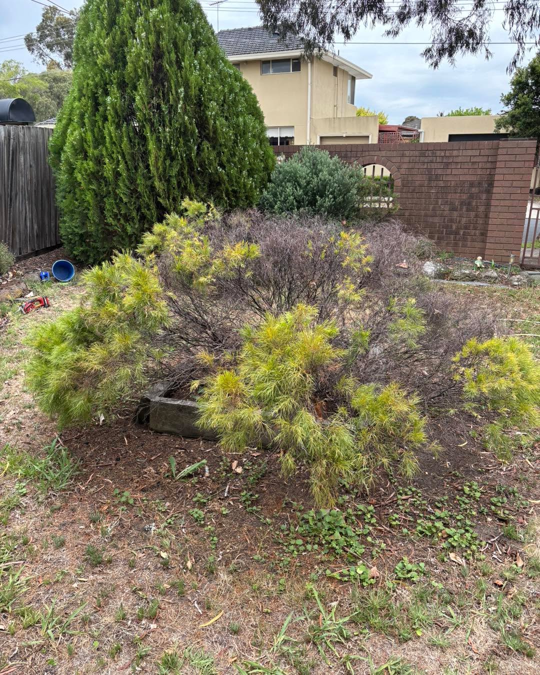 Space for new things #melbourne #lawns #mowing #gardening #MowingService #lawnmowing #GBG