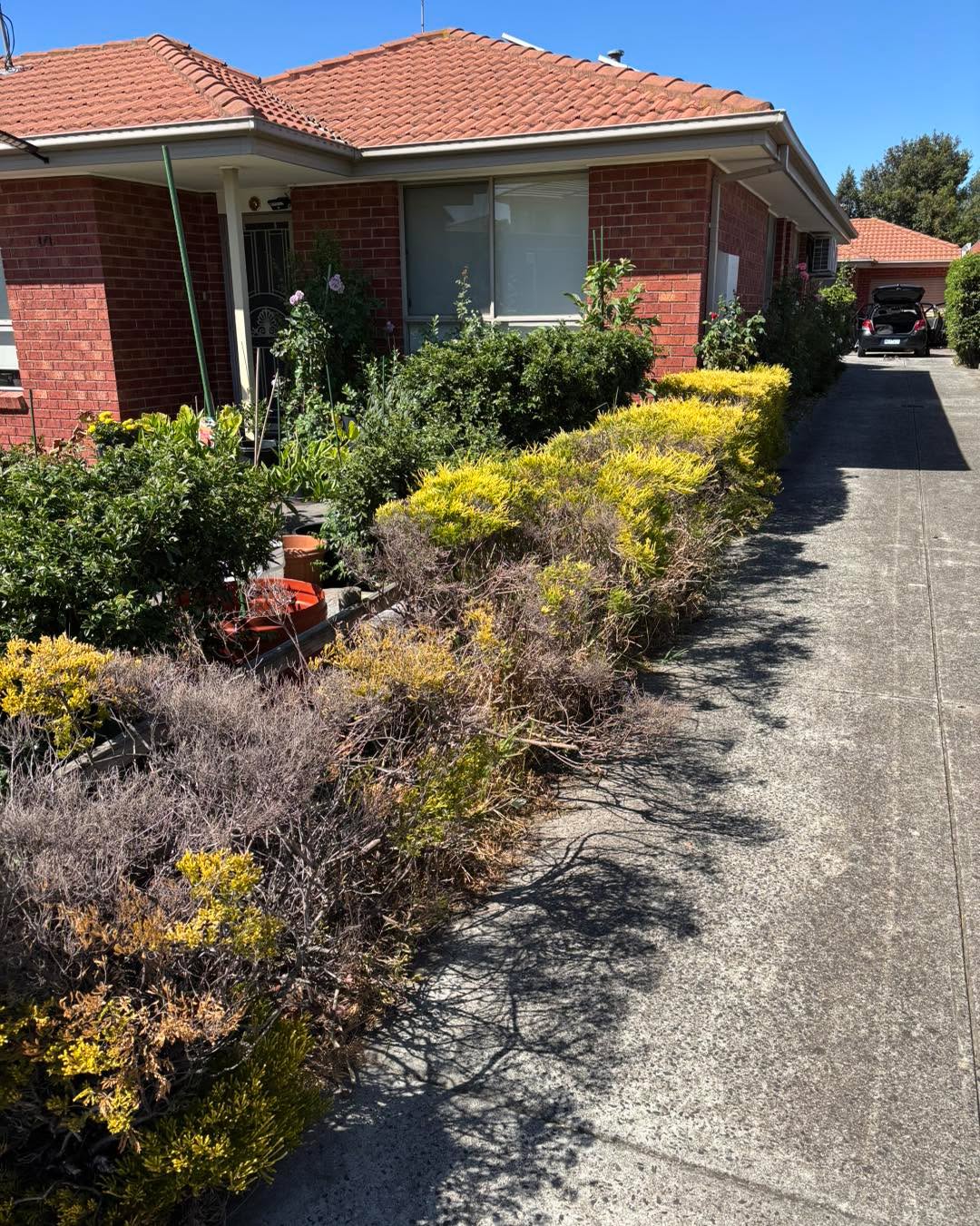 Hedge removed #melbourne #lawns #mowing #gardening #MowingService #lawnmowing #GBG