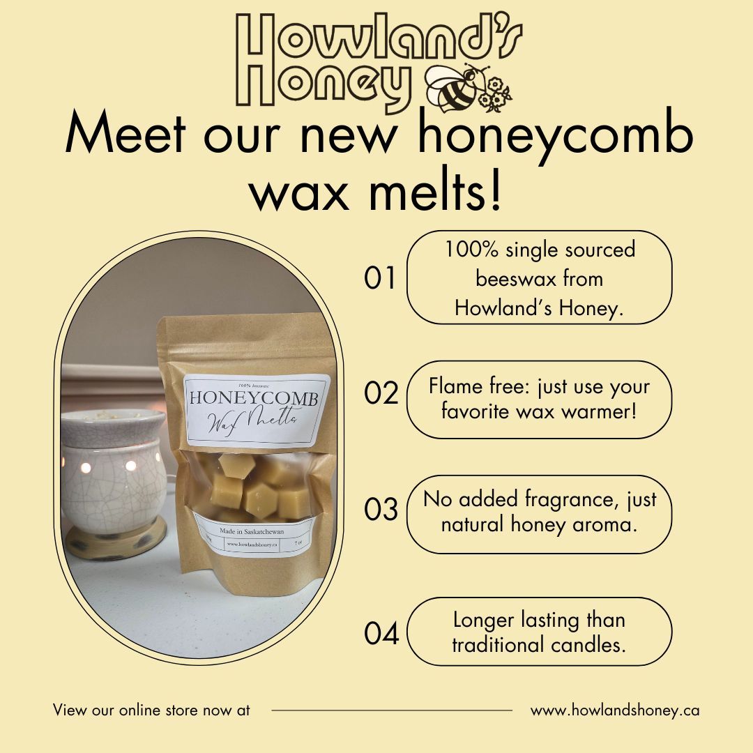 ✨ Experience the luxury of Howland's Honeycomb Wax Melts! 🌿 Crafted from 100% single-sourced beeswax from our third-generation beekeeping operation, these triple-filtered melts emit a delightful honey aroma that naturally elevates your space. 🐝 Enjoy a longer-lasting fragrance compared to traditional candles by using any candle or wax warmer. Transform your ambiance with the purity and craftsmanship of Howland's Honey’s exquisite wax melts! 🍯✨ #HowlandsHoney #WaxMelts #HomeFragrance #BeekeepingBeauty