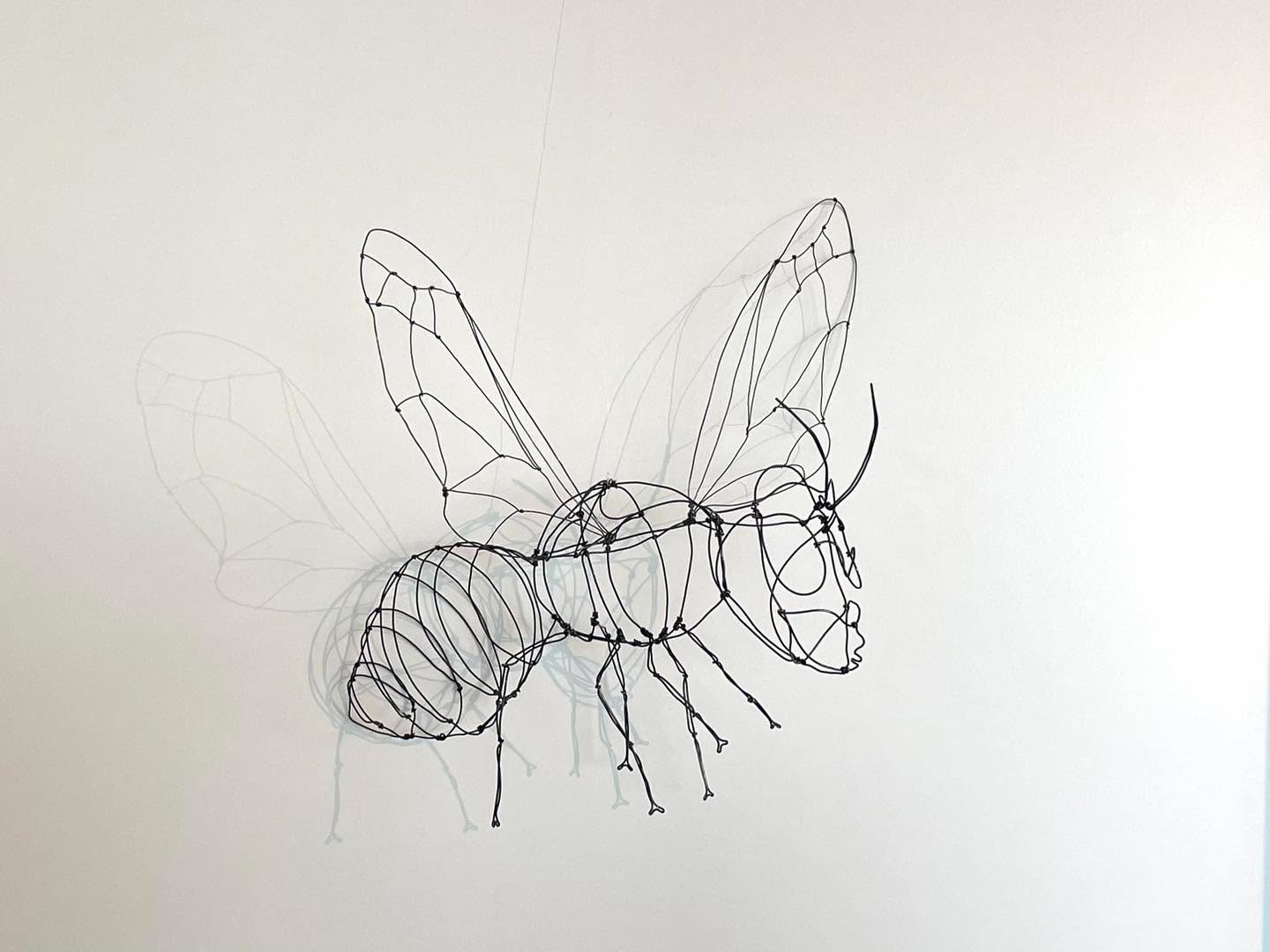 Les guêpes
On les adore ou on les déteste !
Mais elles ne nous laissent pas indifférent.
Les guêpes sont très utiles pour la pollinisation des arbres fruitiers et de la vignes et elles sont des grandes prédatrices des petites insectes comme les moustiques et les mouches.
Celle-ci, est une commande et s’envolera bientôt dans un tea-room à Bulle.
#guêpes #creationsfildefer #sculpturefildefer #artfildefer #gruyereregion #fribourgregion