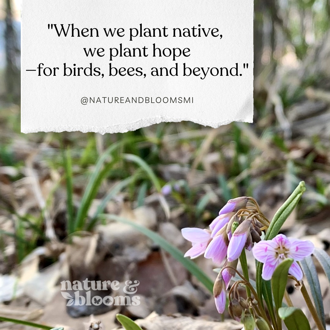 Native plants aren’t just beautiful—they’re vital. 🌸
Each one is a lifeline for pollinators, birds, and the future of our ecosystems.
🌿 Tag someone who’s planting hope.
📌 Save this for your next nursery visit.
🔁 Share to spread the message.
www.natureandblooms.com
#PlantHope #NativePlantsMatter #NatureAndBlooms #ForThePollinators