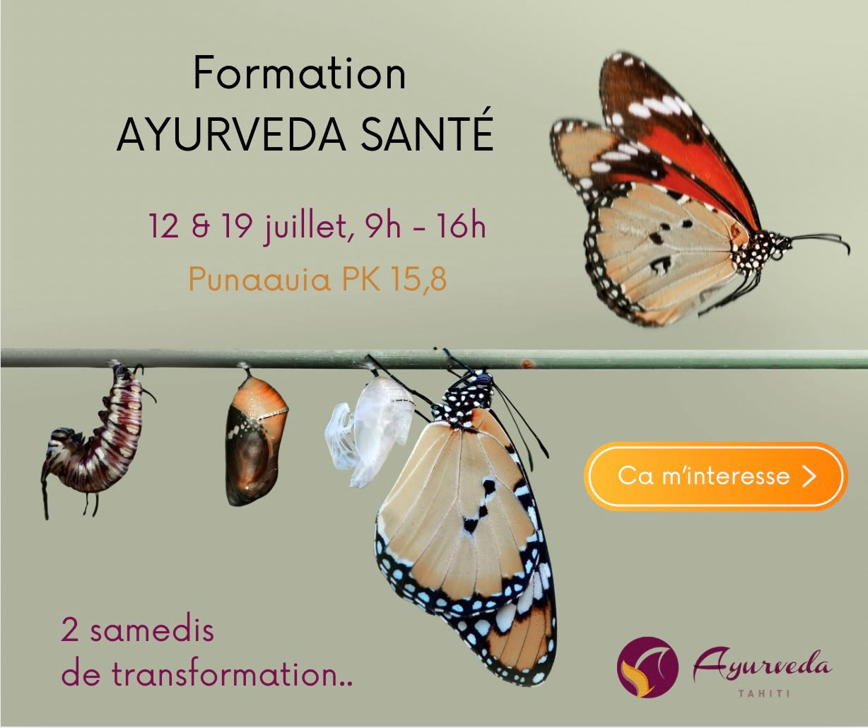 Formation Ayurveda Santé
Avec Eliane Koller – enseignante certifiée Chopra
Punaauia – Aroa Farerereira’a 2
Samedis 12 & 19 juillet 2025 – de 9h à 16h
Objectif de la formation
Cette formation vous invite à découvrir l’Ayurveda selon l’approche de Deepak Chopra : une sagesse ancienne éclairée par les connaissances modernes en santé, neurosciences et épigénétique.
Ensemble, nous explorerons les 6 piliers de la santé pour retrouver équilibre, énergie et clarté intérieure.
Contenu de la formation (10h réparties sur 2 jours)
Module 1 : Introduction à l’Ayurveda
Comprendre les trois doshas (Vata, Pitta, Kapha) et leur influence sur le corps et l’esprit.
Module 2 : La nutrition comme première médecine
Adapter son alimentation à sa constitution et aux saisons. Les aliments qui nourrissent vraiment.
Module 3 : L’apothicaire intérieur
Activer l’intelligence du corps à travers les 5 sens : sons, couleurs, goûts, odeurs, toucher.
Module 4 : Les émotions et l’équilibre mental
Accueillir et transformer ses émotions. Cultiver les sentiments nourrissants.
Module 5 : La routine quotidienne et les cycles naturels
Créer une journée qui soutient la santé – du réveil au coucher – en accord avec ses besoins profonds.
+ 2 ateliers de cuisine ayurvédique à midi : chaque participant est invité à apporter des légumes frais de saison (liste fournie après inscription).
Informations pratiques
Tarif total : 18 700 F CFP
Nombre de places limité : 6 participants maximum
Pour plus d'information ou inscription: mp ou mail: eliane@ayurveda-tahiti.com