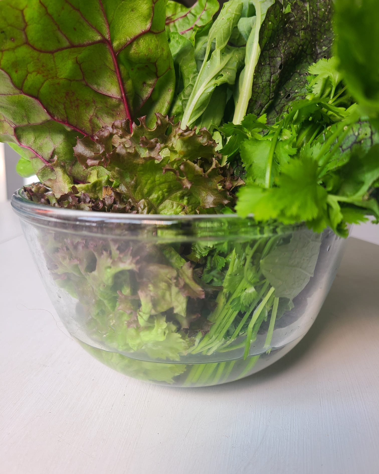How do you store your leafy greens?
This is my all time favourite vegetable storing hack!
Just treat them like cut flowers, change the water regularly and they'll stay crunchy and delicious π
#vegetablegarden #kitchengarden #gardeninghacks #vegetablegardeningtips #vegetablegardeningtipsandtricks #vegetablegardening101
