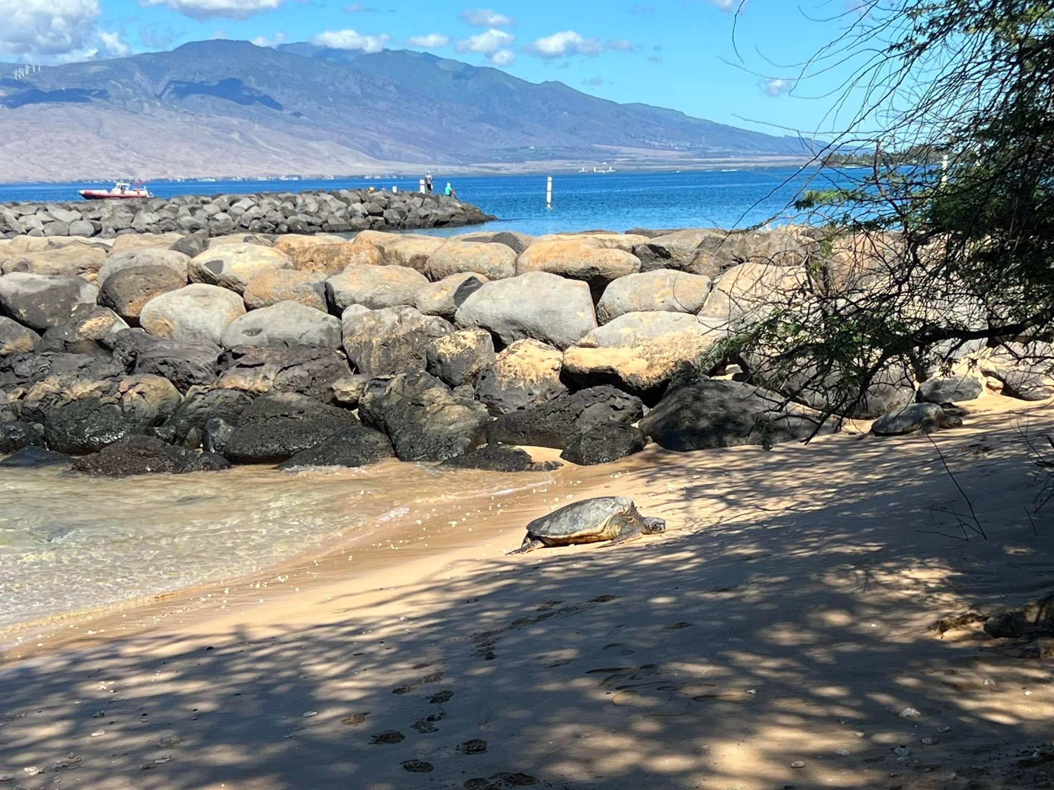 Since I am halfway to Asia, I had to finally get there!