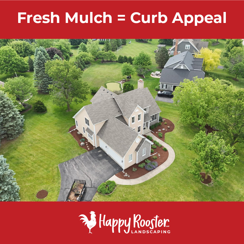 Fresh mulch = instant curb appeal. We gave this yard a quick refresh to get it photo-ready for the real estate listing â small upgrade, big impact!
Selling soon? Let us help your home put its best face forward with a no-pressure estimate. 224-808-4353 www.HappyRoosterLandscaping.com
#MulchRefresh #CurbAppealBoost #ListingReady #HomeSalePrep #HappyRoosterLandscaping #LakewoodIL