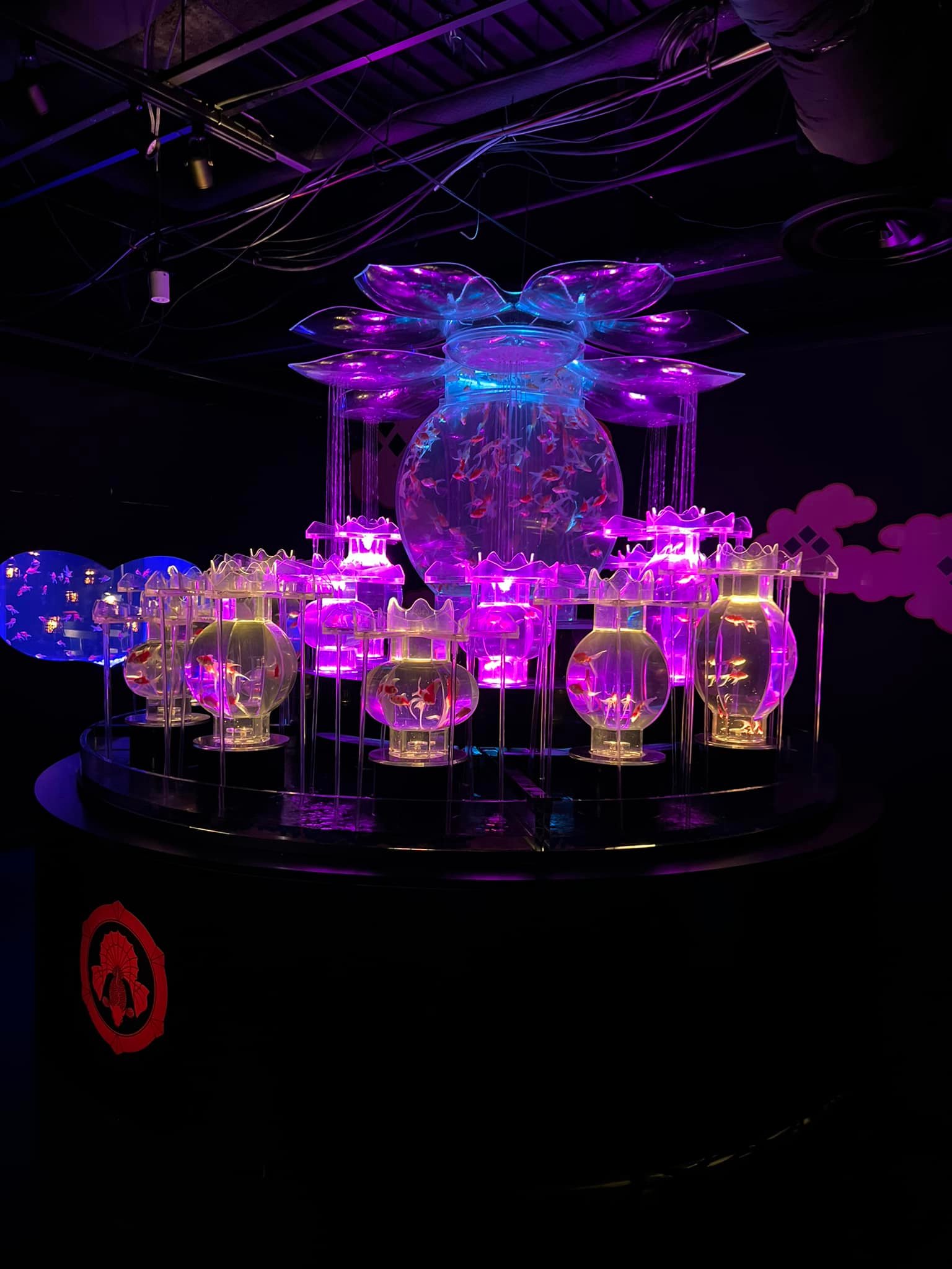 Art aquarium in Tokyo. These are Live Photos. It was quite dynamic with music as well.