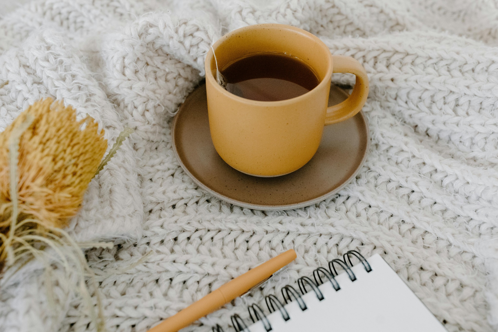 Have you ever stopped to consider how your weekly choices are shaping your character — and your legacy?
I designed the My Journey journal to help you reflect on who you are becoming and what truly matters. It is not just about writing things down — it is about discovering growth, one week at a time.
My latest blog post explores how journaling can become a powerful tool for personal development and legacy-building. And I have exciting news: the My Journey journal will soon be available in an undated version, so you can begin your journey anytime you are ready.
Are you ready to begin?
Read the full post here: https://www.carolyncarleton.com/post/are-you-ready-to-begin
#JournalingJourney #LegacyBuilding #PersonalGrowth #MyJourneyJournal #IntentionalLiving #CharacterDevelopment #WellnessTools #CanadianMade #FaithAndWellness