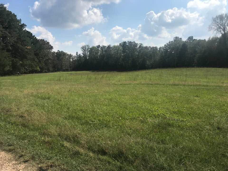 On July 15, 1776, the Battle of Ft. Lindley unfolded under cover of darkness—Cherokee warriors and disguised Loyalists attacked settlers defending a fortified homestead in what's now Laurens County. What followed was a fierce two-hour gun battle and a dramatic countercharge that turned the tide.