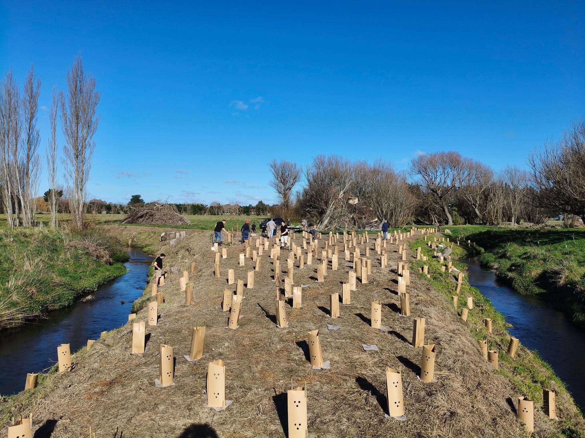 We shared a great planting morning this week on a meander of Saltwater Creek. A dozen people made light work of 400 plants which will create some great habitat on the stream margins and protect the banks from erosion. The Westpac volunteers were awesome.
#waimakariridistrictcouncil #seftonsaltwatercreekcatchmentgroup #pestfreewaimakariri #westpac