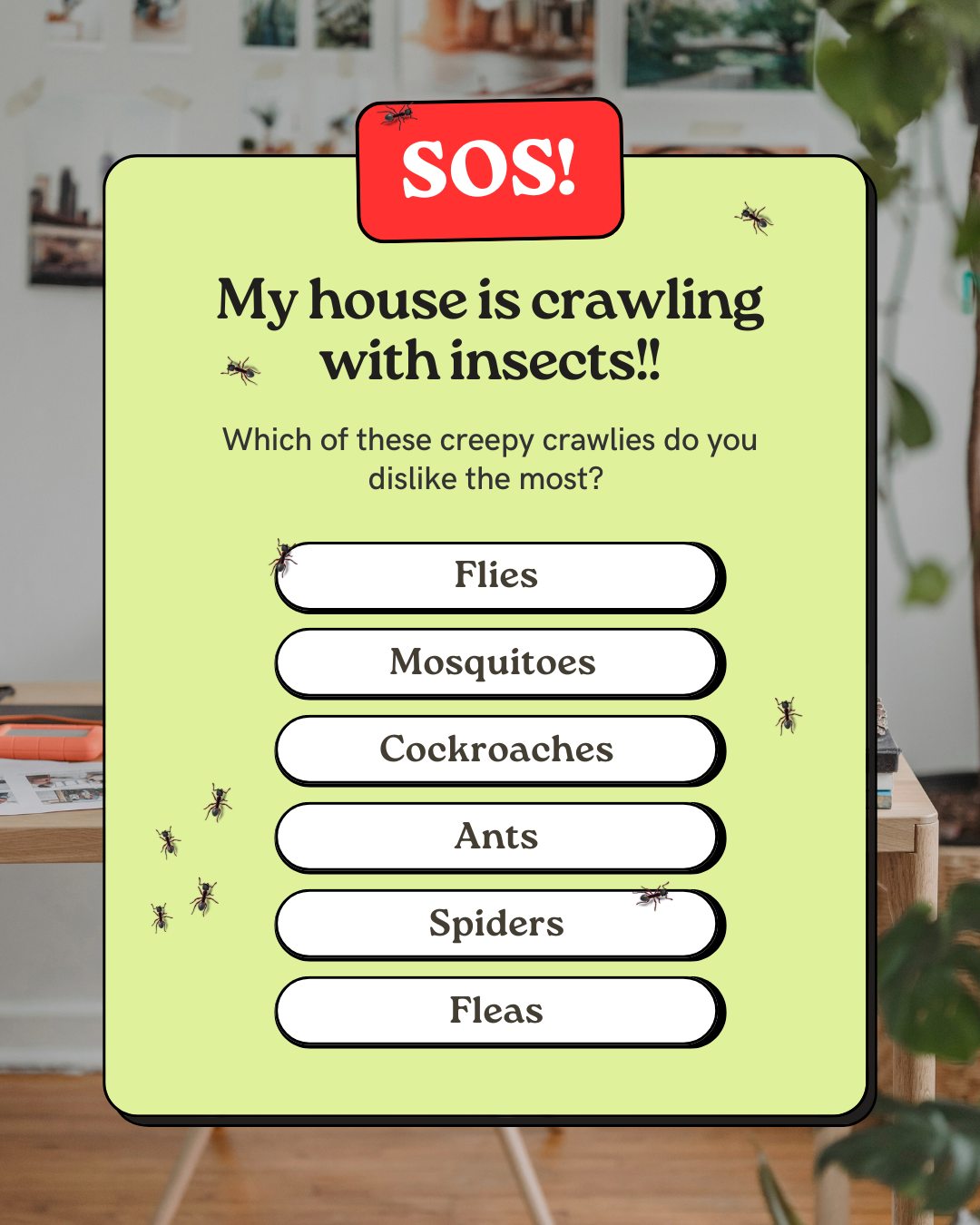 🐜🦟🪳Which insect gives you the biggest ick? What if we had the solution to make them all go away?
If you’re ready to say goodbye to unwanted pests (safely!), check out Eco-py at ourlifestyleshop.com
#OurLifestyleShop #EcoPy #SingaporeHomes #HomeCareSG