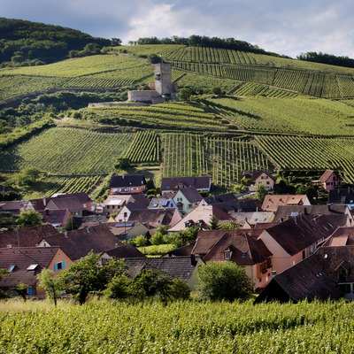 Venez visiter Katzenthal et laissez-vous envoûter par ses paysages pittoresques ! 🌿🍇 Profitez de l'occasion pour découvrir notre cave et participer à une dégustation de nos vins. Une expérience authentique qui combine le charme de notre village alsacien avec le plaisir du vin. À très bientôt pour une immersion dans notre univers ! 🍷✨
#katzenthal #degustation #tasting #winemaker
