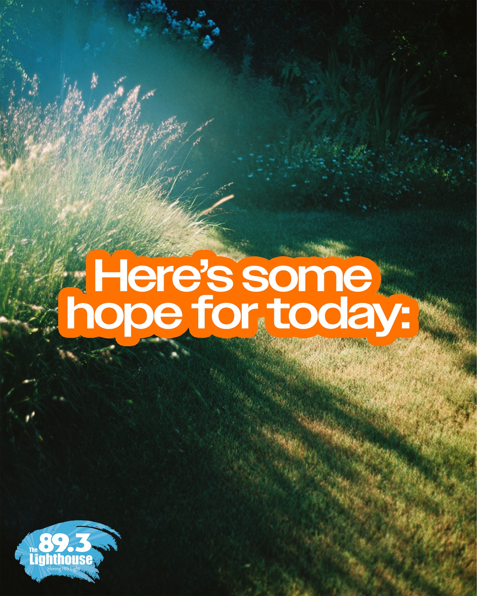 We all need a reminder of hope now and then. 💛
If one of these spoke to your heart, let us know — which one did you need today?
And if you know someone who could use a little encouragement, tag them or share this with them. Let’s lift each other up! ✨