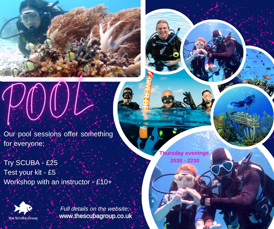 We're back from our Summer Holidays 😎
What a brilliant two weeks it was, thanks to Emmas Diving-Adventure and Dive UK Hurghada - Diving Hurghada with a British Dive Centre for looking after us all, brilliant as ever! 💖
Now we're back from the Red Sea we can turn our eyes to the best UK diving has to offer;
🤿 Try SCUBA Diving is available every Thursday until the end of September - if you've never tried it then take your first breaths this week.
🤿 Learn to Dive - Courses are starting in 2 weeks time, now is the best time to learn how to explore the rest of Planet Earth
🤿 Return to Diving - Had some time off, your certificat may last forever but your skills don't, get a SCUBA refresh with one of our team.
All details are on the website, all club dives will go on there once we're acclimatised to our Drysuits! 🥶