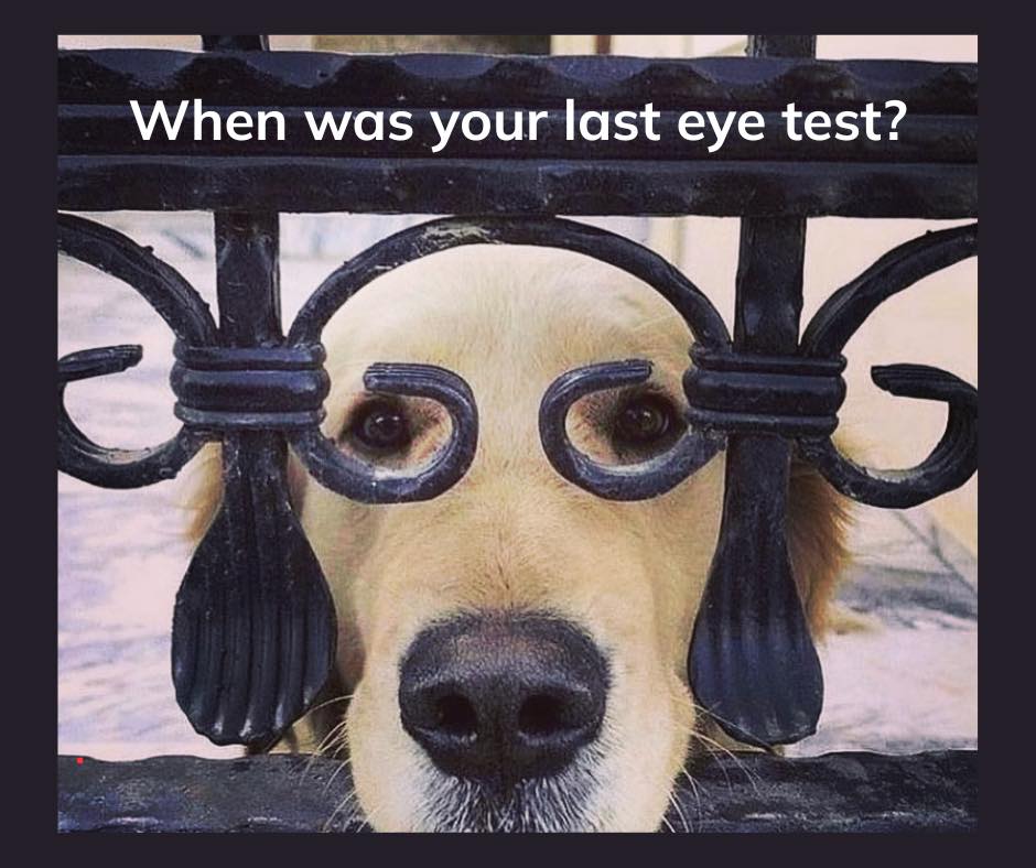 Did you know MIKA & Me now do eye tests. You can book online or call on 0141-413-5353