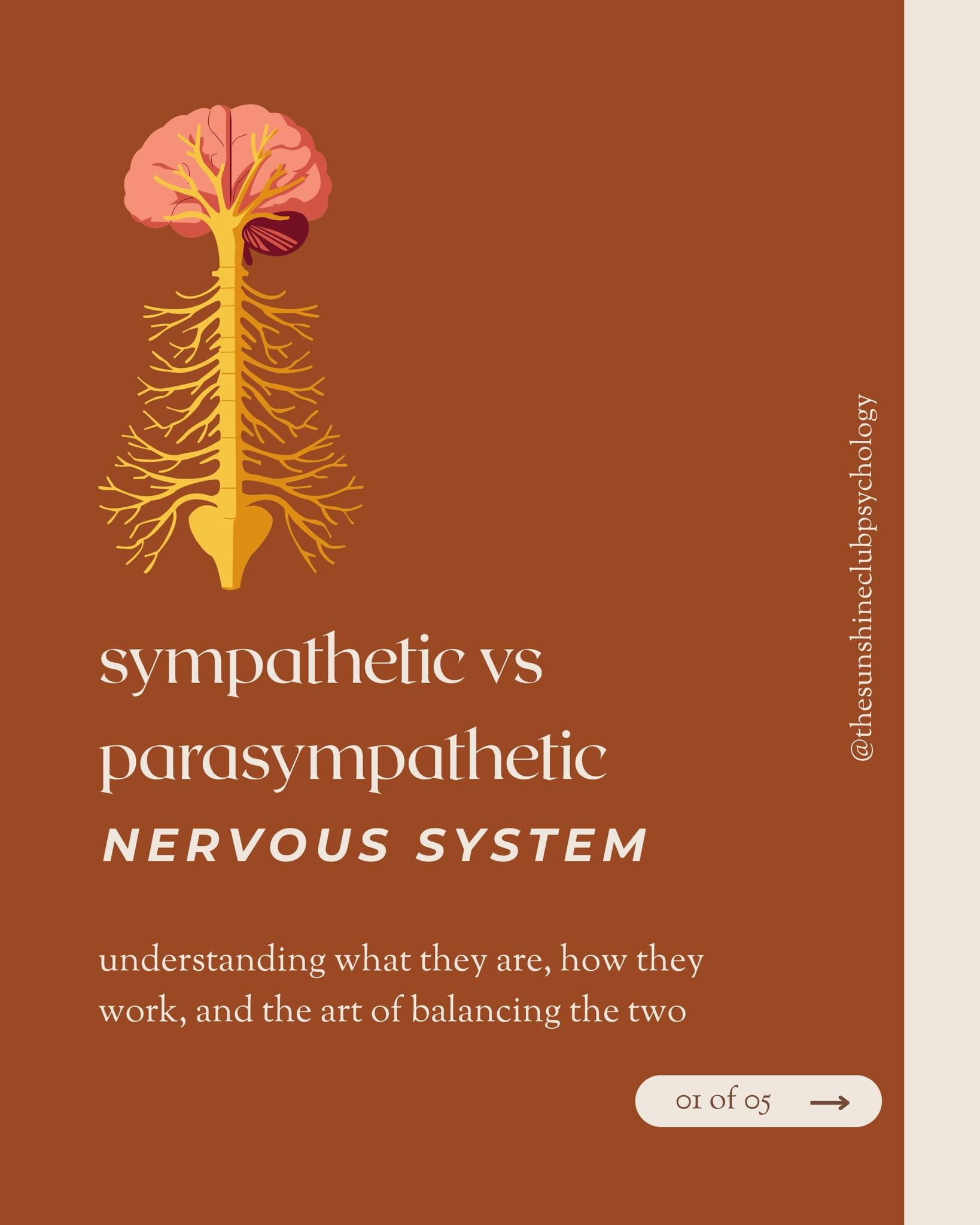 🧠 Your nervous system isn’t broken, it’s protecting you.
Sympathetic = fight or flight (stress mode)
Parasympathetic = rest + digest (calm mode)
We need both, but chronic stress can keep us stuck. Small tools like deep breathing, movement, or mindfulness can help bring you back to balance.
If you need psychological support, do not hesitate to reach out to us at 0466 472 731 or email us at admin@thesunshineclubpsychology.com to book an appointment.
#mentalhealthawareness #nervoussystemregulation #parasympatheticnervoussystem #nervoussystemhealth #fightorflightresponse #restanddigestmode