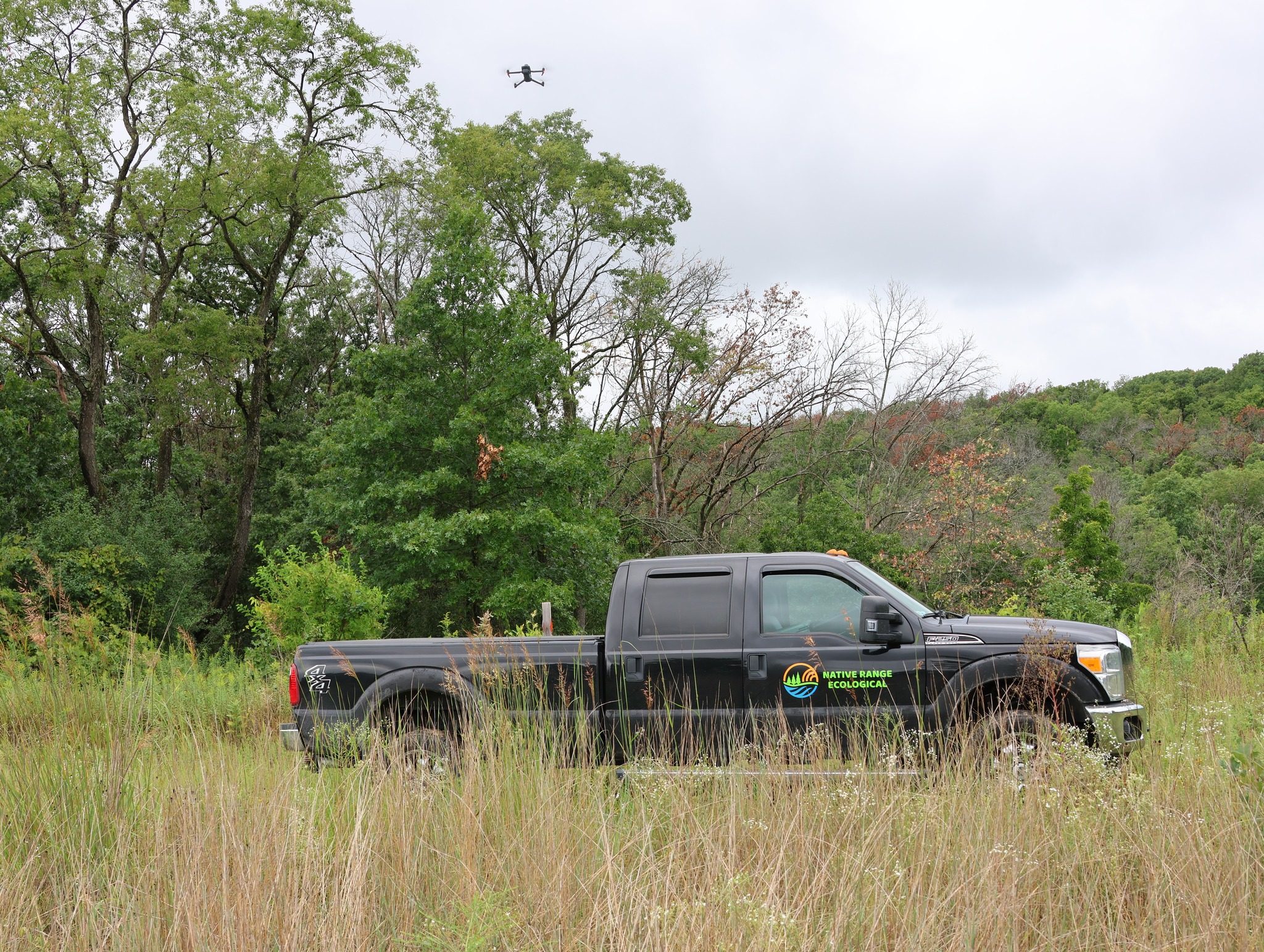 NRE employs drones to survey extensive land areas efficiently. The drone captures imagery across multiple light spectrums, enabling ecologists to gain a better understanding of environmental conditions. Specialized software integrates the images and analyzes vegetation reflectance patterns to identify ecological changes or concerns.
Such changes may indicate the presence of invasive plant species, a decline in native vegetation plant densities, or infestations by pests such as the emerald ash borer and spongy moth.
Recently, NRE deployed a drone to assess spongy moth (Lymantria dispar) activity within the Kettle Moraine Southern Unit. Accurate assessment of infestation severity informs land managers' decisions regarding appropriate treatment strategies.
Innovative technologies like these empower NRE to protect and preserve natural ecosystems more effectively.
#dronesurvey #ecologicalresotration
