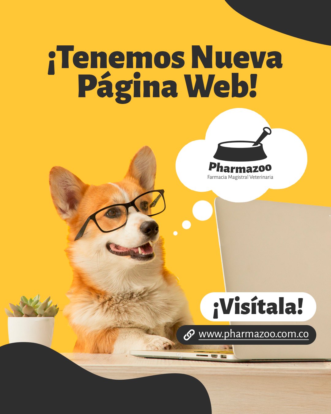 🚀 ¡Ya tenemos nueva página web! 🚀
En www.pharmazoo.com.co encontrarás todo para consentir y cuidar a tus peluditos 🐶🐱💚
Te invitamos a visitarnos y descubrir lo nuevo que tenemos para ti.
#Pharmazoo #dogs #pets #mascotas #perros