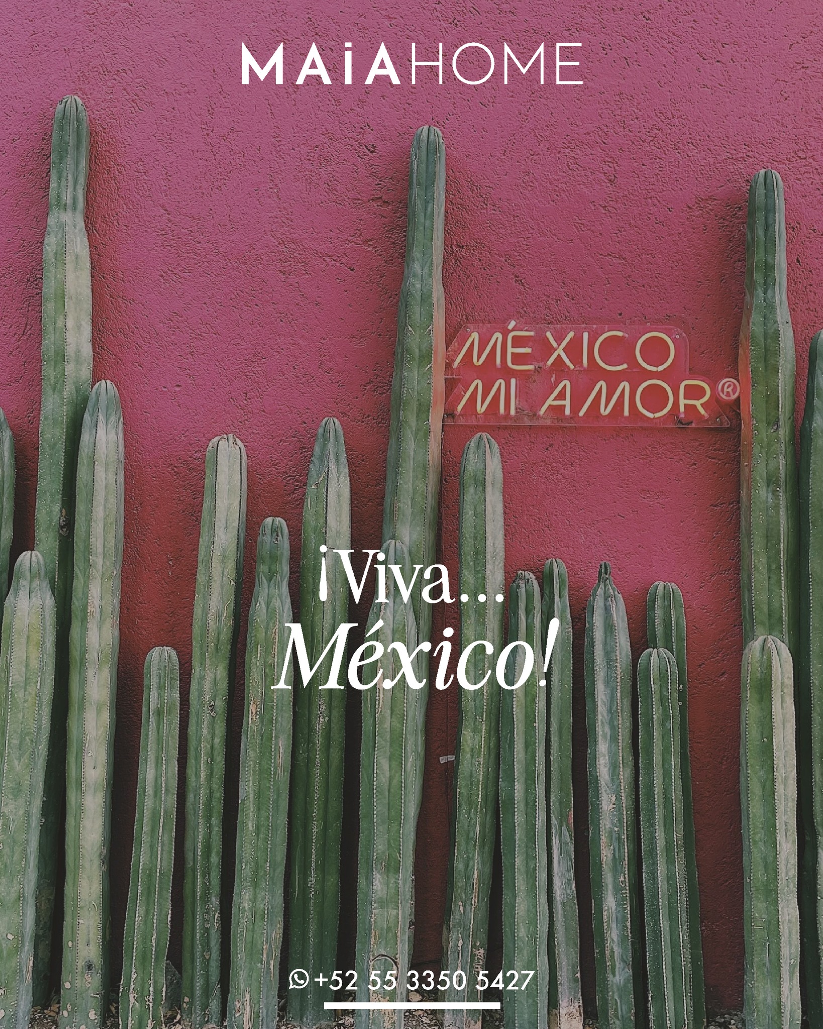 🟩🦅🟥México es historia, sabor, música y colores.
🎉 Hoy celebramos nuestra independencia y gritamos con orgullo: ¡Viva México!
🔸Departamentos Amueblados
🔸Accesos sin llaves
🔸Wifi alta velocidad
🔸Kit de Bienvenida
🔸Recorrido virtual
💻Reserva tu alojamiento en nuestra página web.
https://www.maiahome.mx
💯Airbnb / Vrbo / Booking.com / Tripadvisor
#Maia #MaiaHome #CorporateHousing #VacacionalRental #Polanco #deluxeapartments #Springtime #Apartments #Departamentos #Airbnb #Vrbo #Booking #Tripadvisor