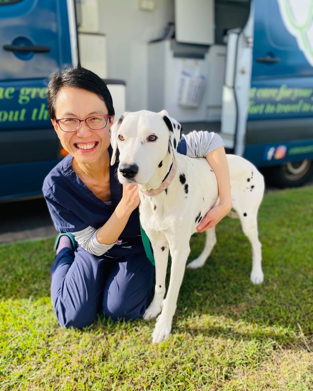๐พ๐ One of the greatest joys of being a vet is seeing a sick pet recover and thrive again. ๐
A few months ago, we cared for a lovely Dalmatian named Katie, who had been losing weight despite being constantly hungry. ๐ฅบ
After some thorough testing, we diagnosed her with Exocrine Pancreatic Insufficiency (EPI) โ a condition where the pancreas doesnโt produce enough enzymes to properly digest food. ๐
With the right treatment plan and lots of love from her family, Katie is now back on track โ gaining weight, full of energy, and wagging their tail with joy. ๐ถโจ
Stories like this remind us why we do what we do. Helping pets get back to good health is the best part of our job โ and weโre here for your pets too. ๐
If youโve noticed changes in your petโs appetite, weight, or energy, donโt wait โ book a check-up with us today. Together, we can help keep them happy and healthy. ๐พ