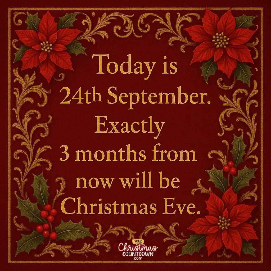 3 Months till the big night!
#SantaJoeyNJ #SantaNJ #HolidayMagicNJ #SantaForHire #NJHolidayEvents #ChristmasSantaNJ #SantaVisitsNJ #HolidaySeasonNJ #SantaInNJ #NJChristmas #njchristmasminisessions #santahomevisits