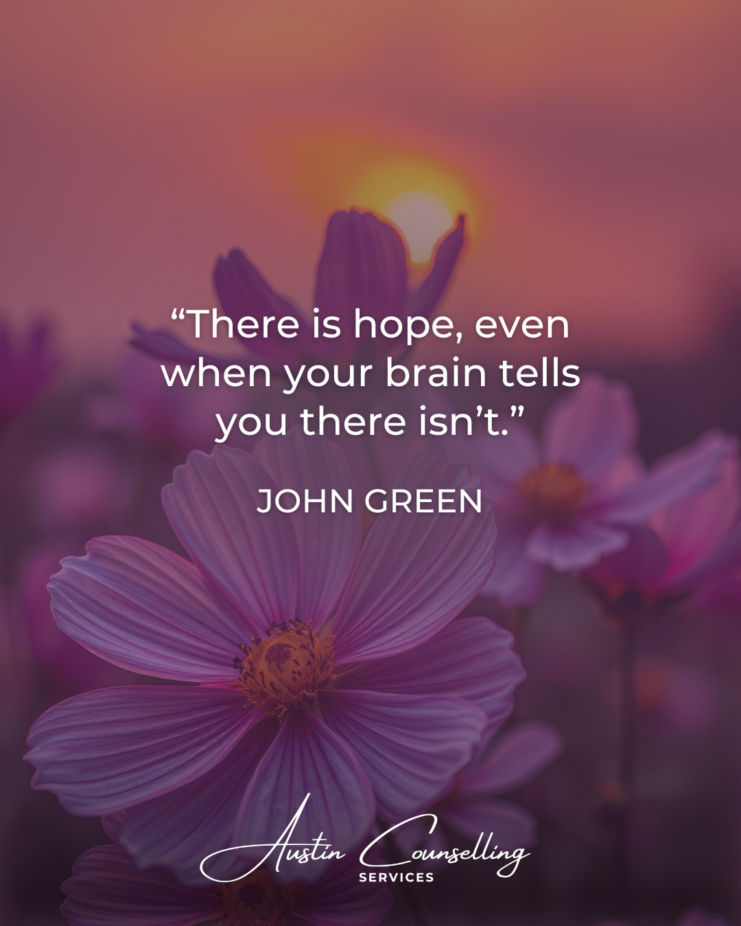 "There is hope, even when your brain tells you there isn't." - John Green