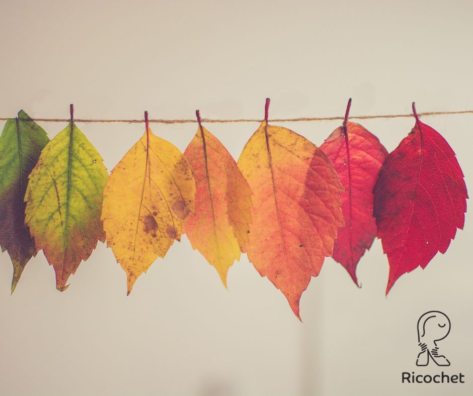 🍂Ricochet en mode automne : accueillir la lenteur🍂
À l’image des feuilles qui se détachent une à une,
l’automne nous invite à ralentir.
À déposer ce qui n’est plus nécessaire.
À prendre le temps de respirer, de ressentir,
de revenir à l’essentiel.
Chez Ricochet, on croit que la lenteur n’est pas un luxe,
mais une manière d’habiter pleinement le présent.
C’est dans le calme que germent les idées,
dans le silence que naissent les élans vrais.
🧡Et si cet automne, vous faisiez le choix de ralentir ?