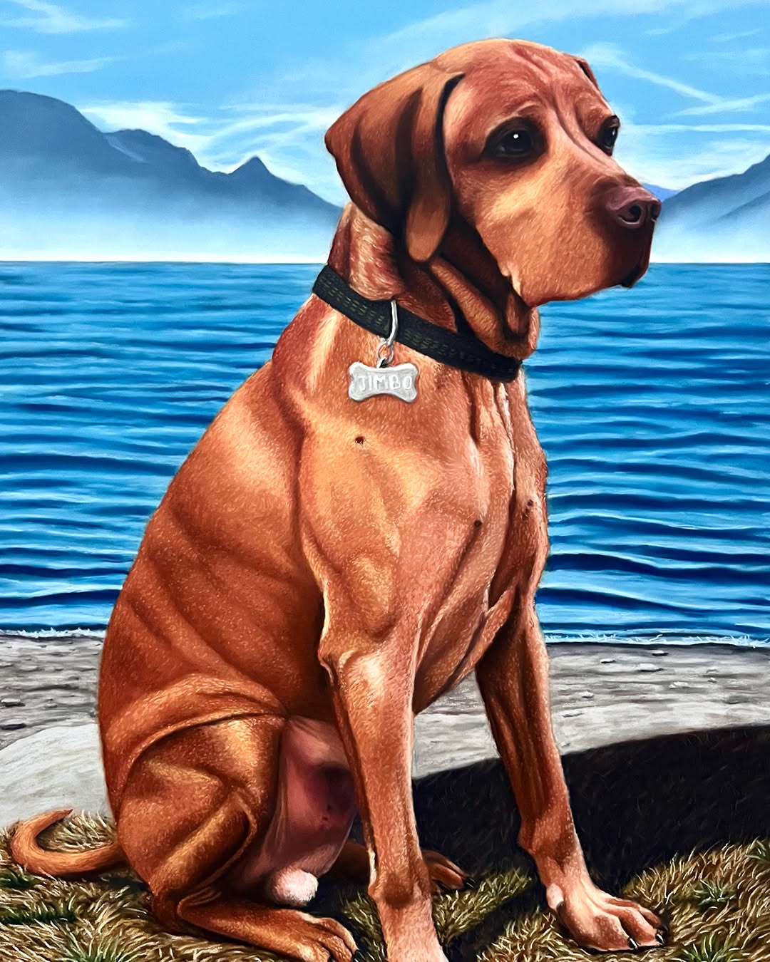 🎨I'm happy to share my latest commission✨: a pastel portrait dedicated to Jimbo, a magnificent Vizsla🐕, who is now running free among the clouds.
Working with just photos and stories, I focused on connecting with Jimbo's spirit to capture the essence of a subject I never met in person.
And then came the final magic, the recipient's reaction: the raw emotion, the tears, and a genuine hug. Knowing that my painting will forever be a tangible memory, a treasured piece of affection, is the greatest reward of all.
👉 If you'd like to commission a painting like this, send me a DM!
Jimbo
50x70cm
Pastel on papaer
Material used: @pastelmat_clairefontaine, @blockxcolours soft pastels, @sennelier1887 soft pastels, @fabercastellglobal Pitt pastel pencils, @stabiloitaliaofficial Carbothello
#pastel, #dogportrait, #petportrait, #viszla, #dogslover
