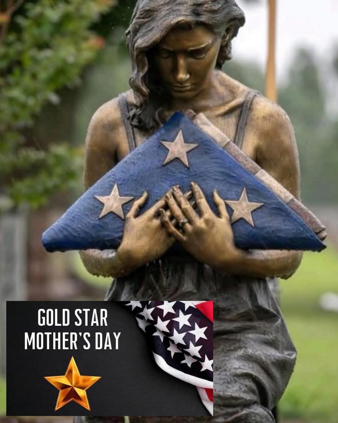 Today, we honor Gold Star Mothers. 💛⭐️
On this National Gold Star Mother’s Day, we pause to remember the mothers who have endured the greatest sacrifice—a child lost in service to our nation. Their strength, courage, and love embody the very heart of patriotism and remembrance.
The USS Indianapolis family stands with these remarkable women, honoring their children’s legacy and keeping their memories alive.