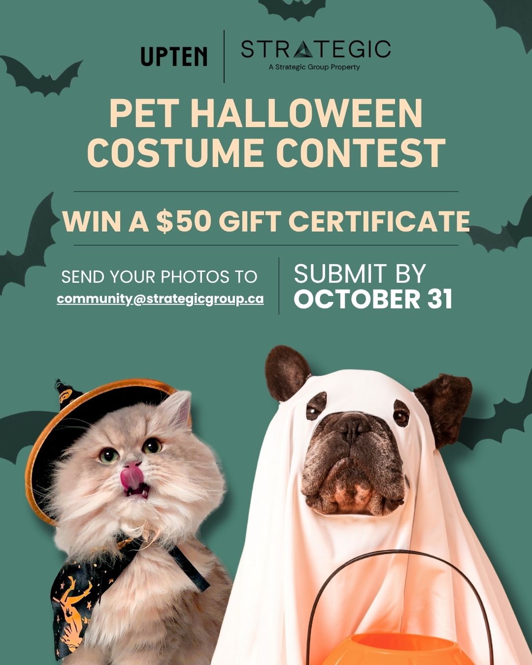 Pet Halloween Costume Contest at Upten!
We know Upten is home to plenty of furry tenants, and now it’s their time to shine!
Dress up your pets in their spookiest, silliest, or most paws-itively adorable costumes and show off their Halloween spirit.
Snap a pic and send it to community@strategicgroup.ca with your property and unit # to enter.
Feel free to share your pet’s spook-tacular look on Instagram and tag @liveupten - because every furry tenant deserves a moment of fame!
Let’s see which UPTEN pet takes the crown for best dressed this Halloween!
Submit your photo by October 31st
Winner receives a $50 gift card!