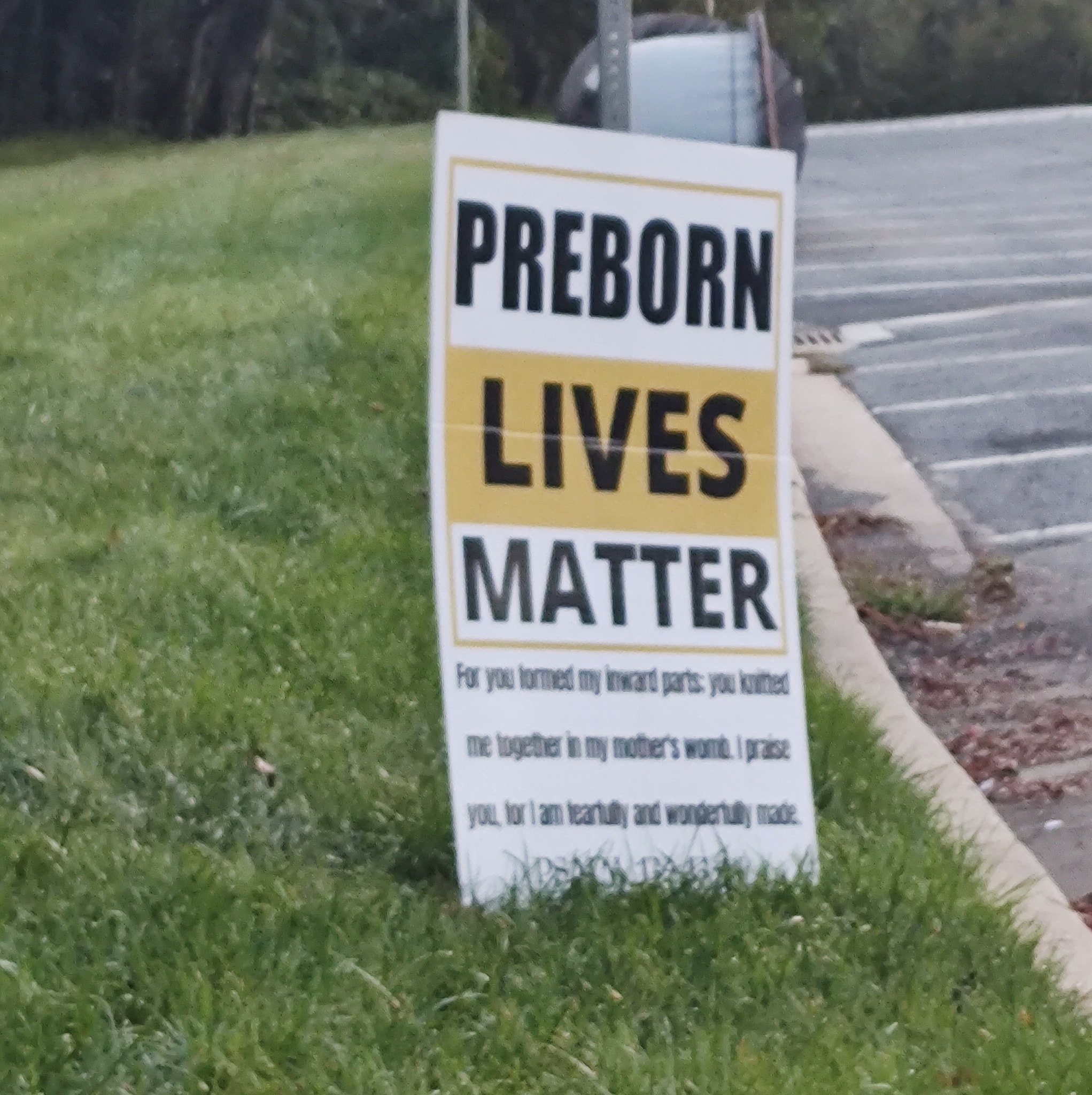 Be a voice of the voiceless