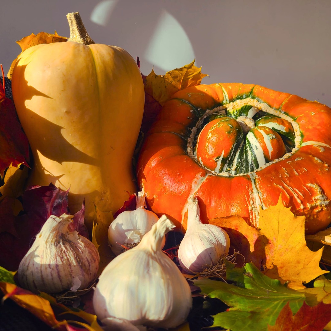 3 reasons why gardeners love autumn... πβ€οΈπ
π Squash are ripe and ready!
π§ Garlic sowing season is here
π Leaves and fallen branches are a great addition to your compost heap, get them heaps filled!
#autumnvibes #allotmentlife #vegetablegarden #allotmentlove #pumpkinseason