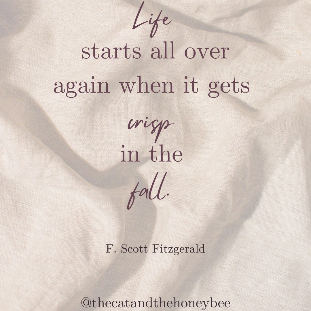 The leaves have started to change, the evenings are drawing in and Autumn is in full swing.
Have you started to notice the subtle changes of Autumn arriving? Let me know your favourites in the comments 👇
-
-
-
-
-
-
-
-
-
-
-
-
#TheCatAndTheHoneybee #autumnleaves #october #thanksgiving #supportlocal #cosy #SeasonalScents #cosyvibes #catandhoneybee #InnerPeace #goodenergy #candleritual #HandmadeWithLove #crystalenergy #crystals #MindfulMoments #crystalhealing #SupportSmallBusiness #LocalMakers #hellooctober